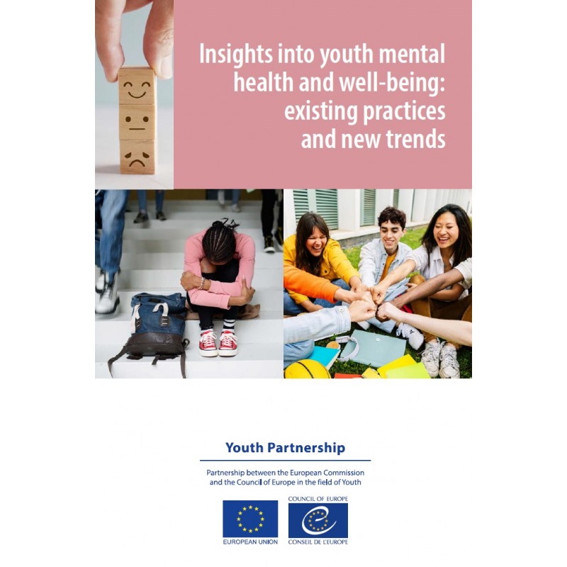 Insights into youth mental health and well-being: existing practices ...