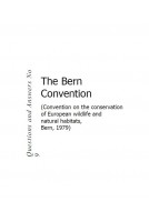 The Bern Convention