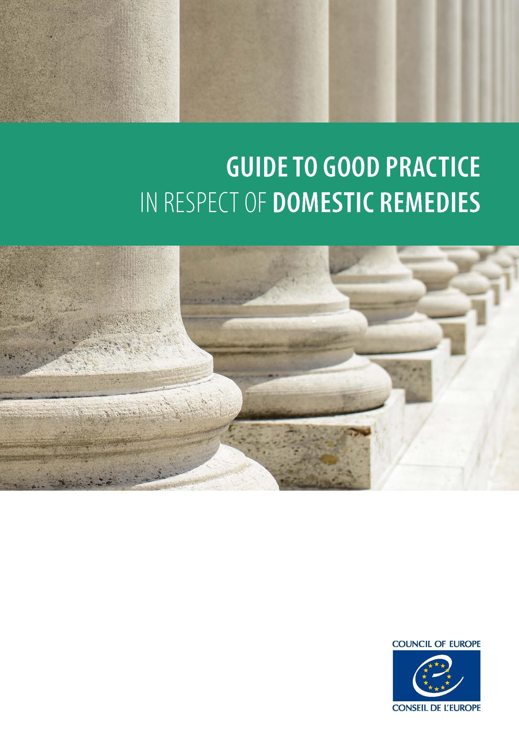 guide-to-good-practice-in-respect-of-domestic-remedies