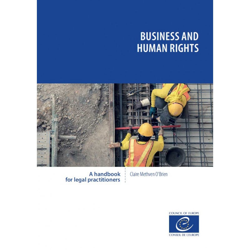 Business And Human Rights A Handbook For Legal Practitioners