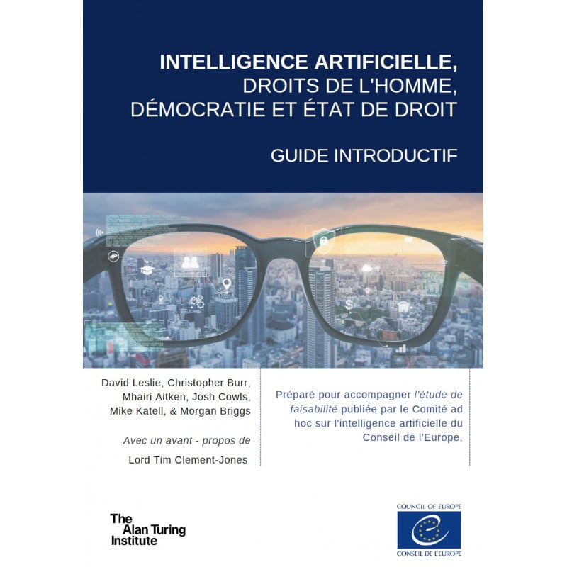 Intelligence Artificielle, Droits De L'homme, Démocratie Et État De ...